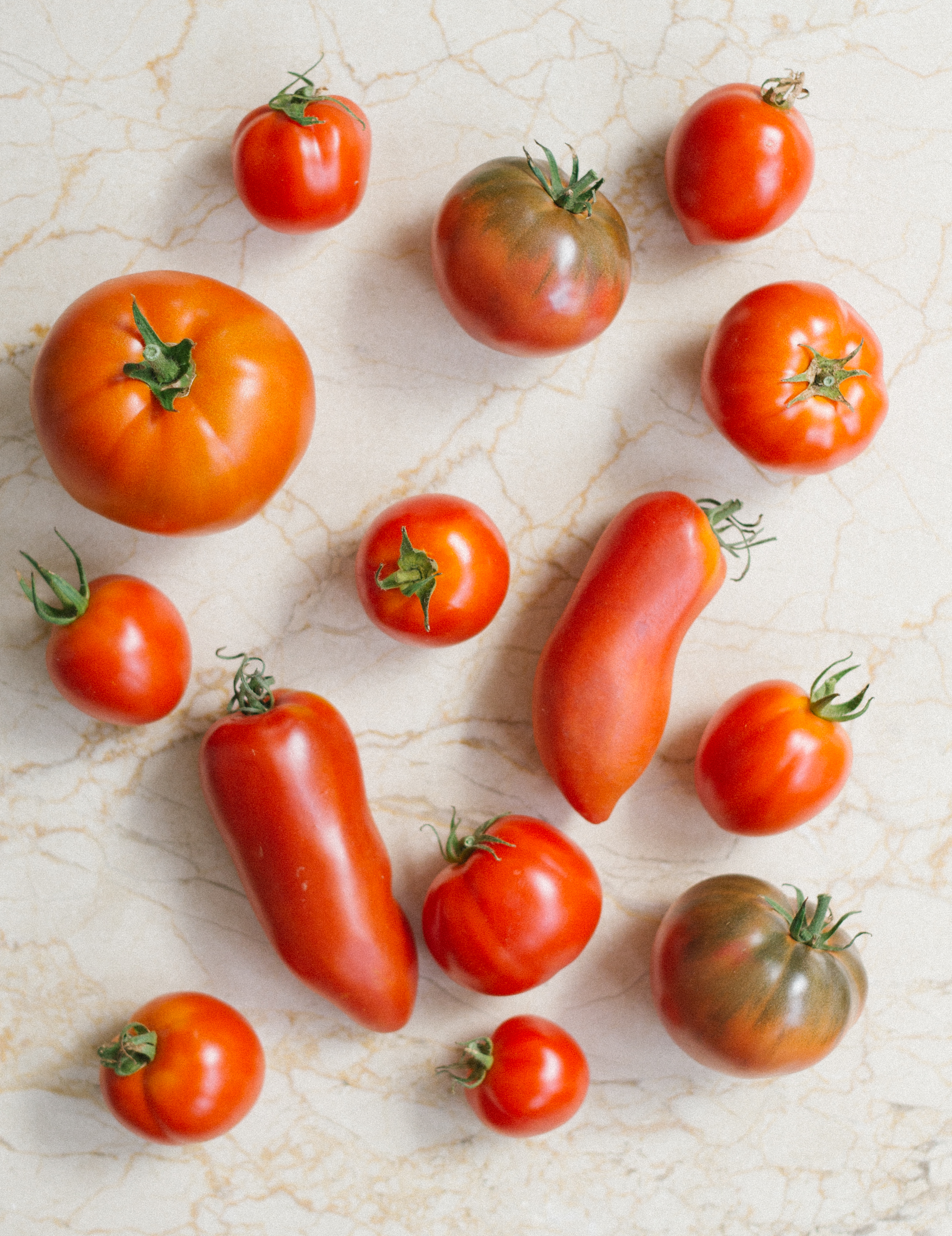 Spanish tomatoes used in the experience at table by ona.