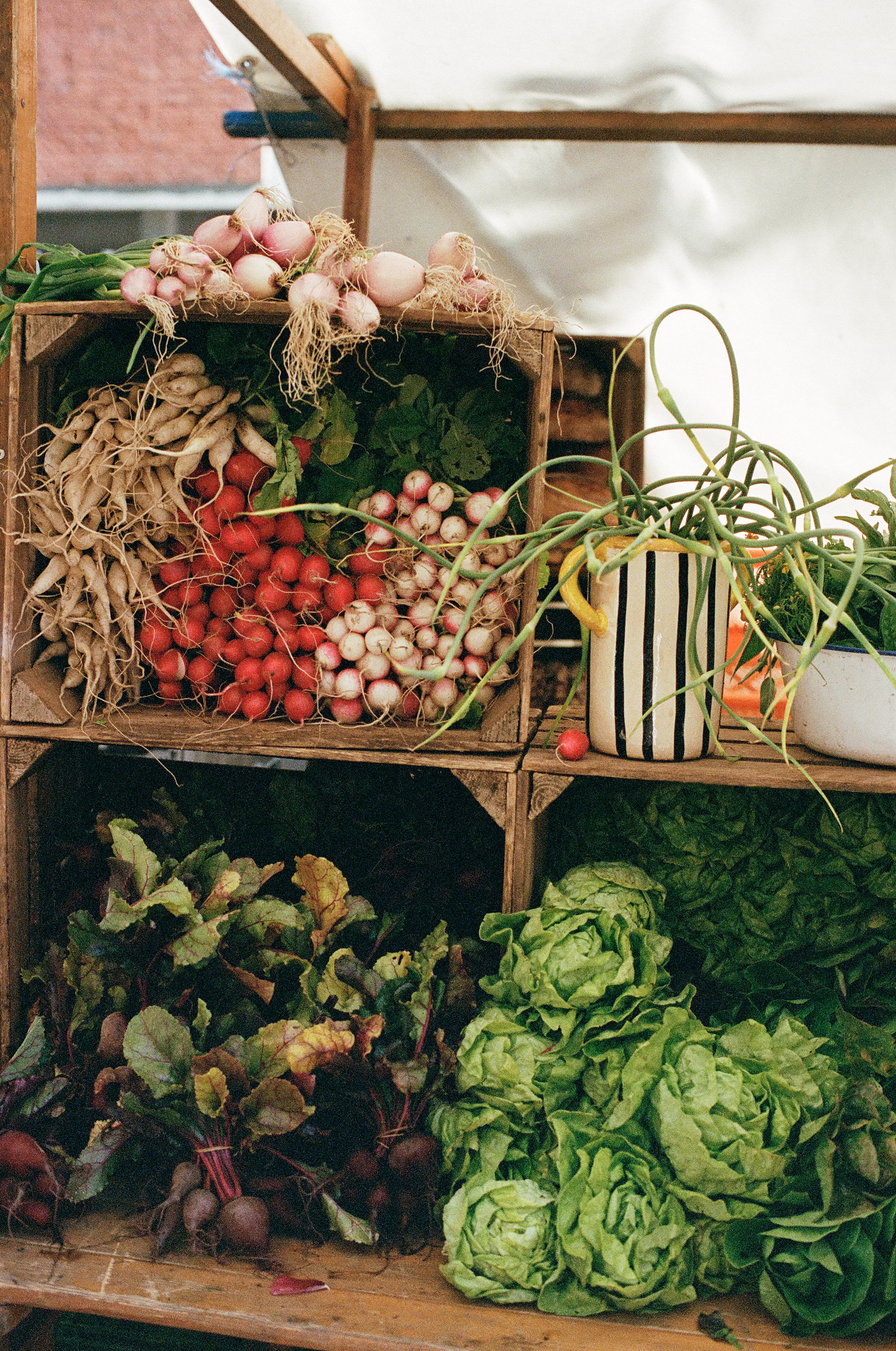Organic produce, locally grown in Barcelona at a farmers market. Served in the menu at ona.