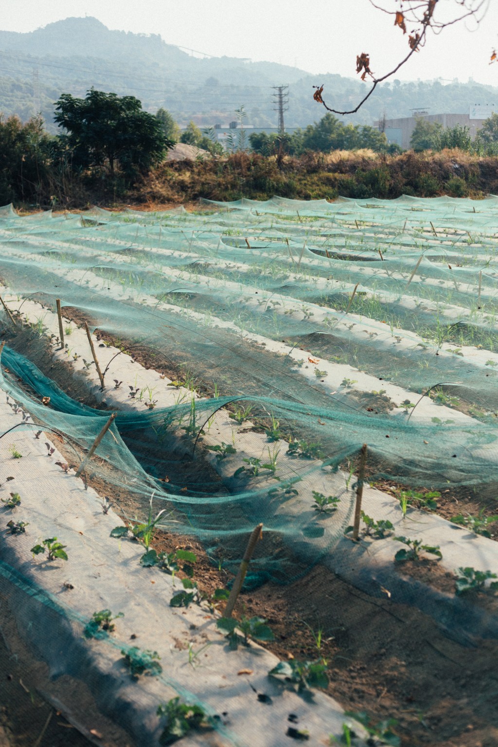 A day at Can&nbsp;Fisas.